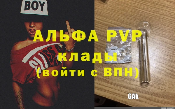стаф Корсаков