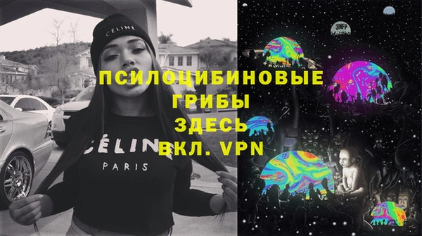 экстази Няндома