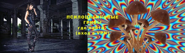 ГАЛЛЮЦИНОГЕННЫЕ ГРИБЫ Богданович