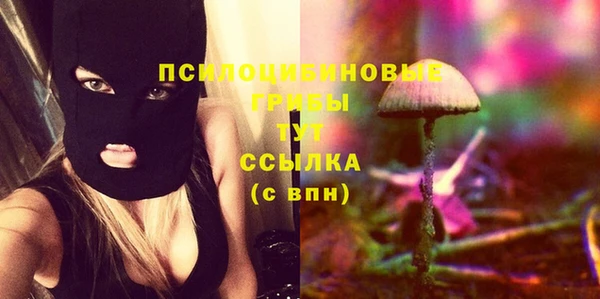 экстази Няндома