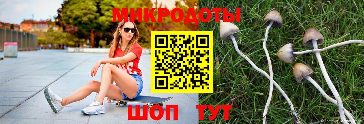 Галлюциногенные грибы Cubensis  Вход с VPN  Миасс 