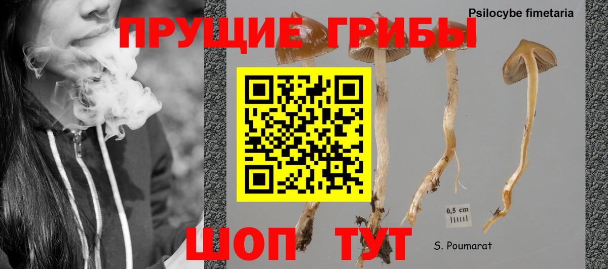 Галлюциногенные грибы MAGIC MUSHROOMS Миасс